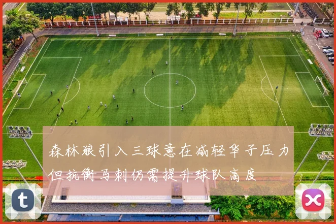 森林狼引入三球意在减轻华子压力但抗衡马刺仍需提升球队高度