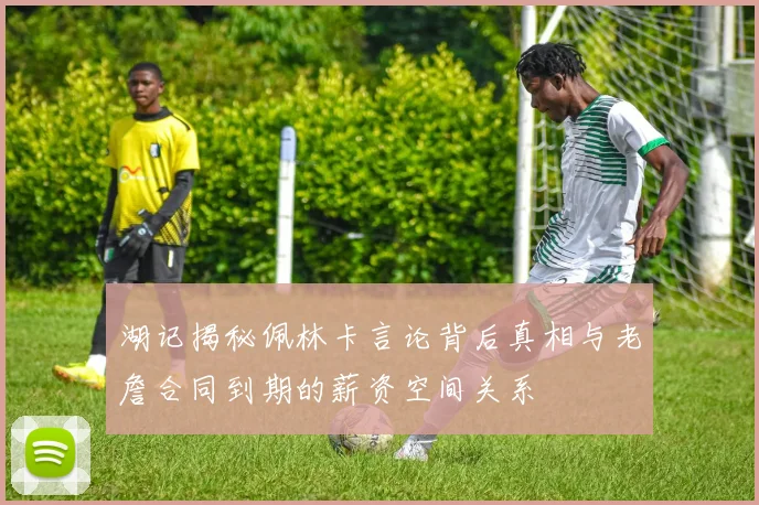 湖记揭秘佩林卡言论背后真相与老詹合同到期的薪资空间关系