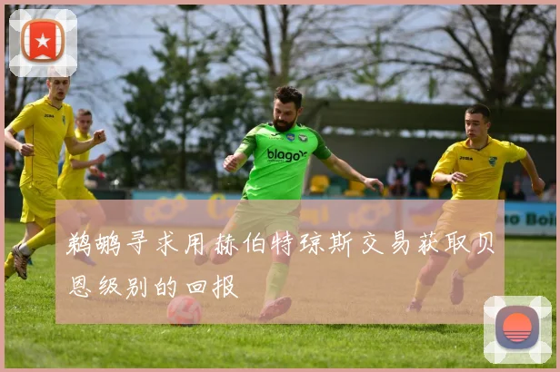 鹈鹕寻求用赫伯特琼斯交易获取贝恩级别的回报
